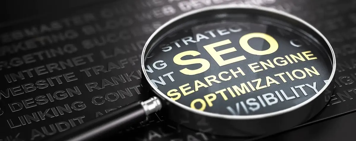 Vue grossi à la loupe de SEO